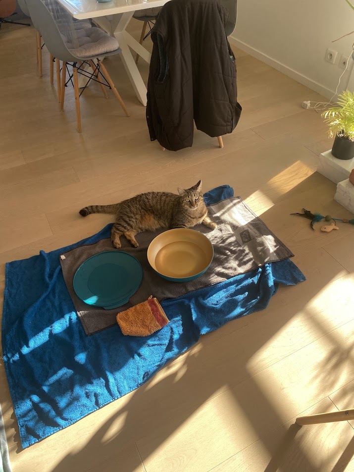 Toby avec son aire de jeu aquatique